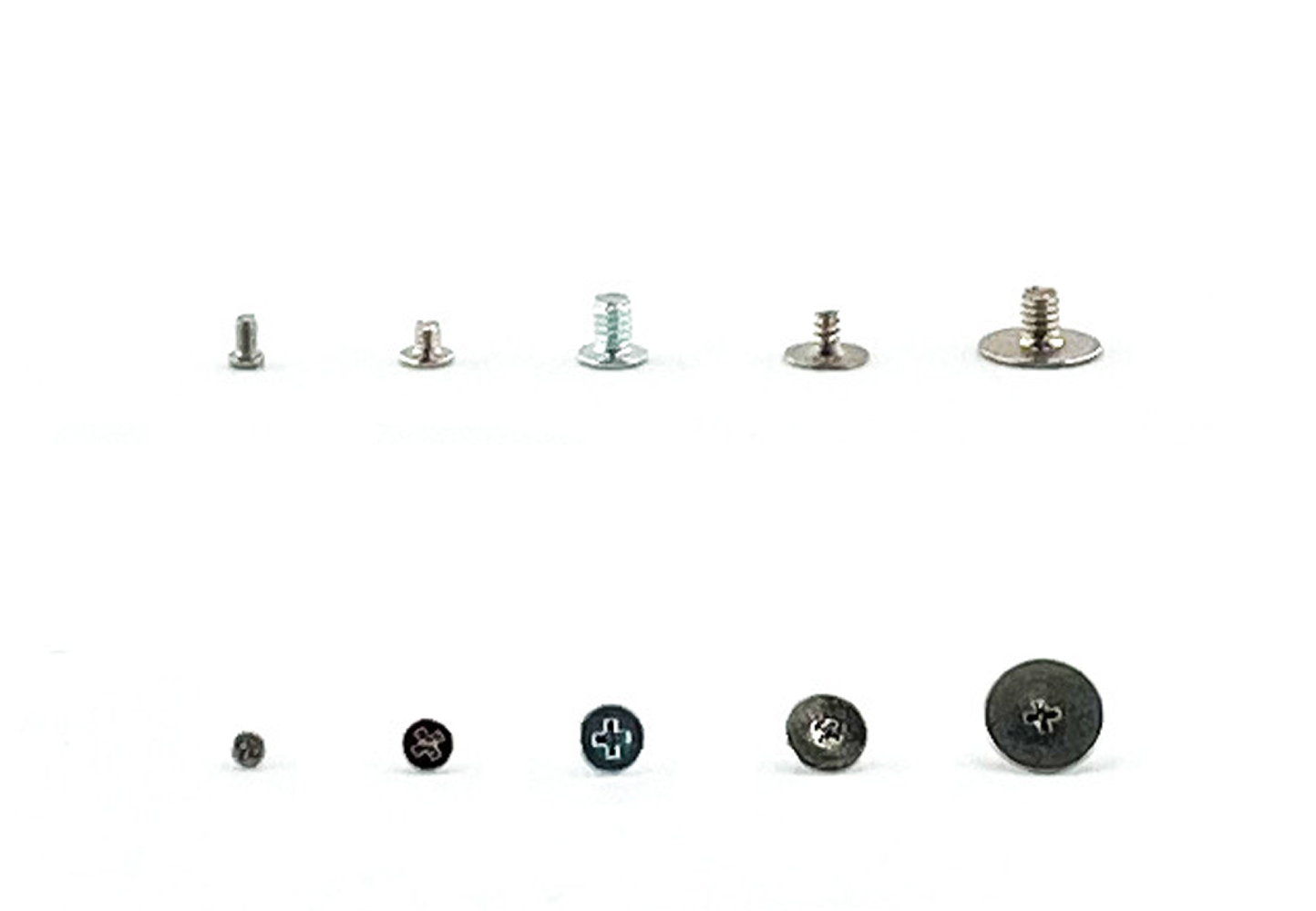 REGULAR SCREWS