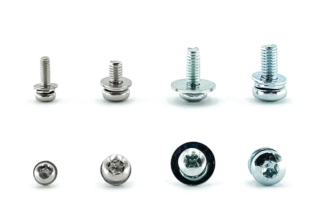 SCREWS WITH DOUBLE WASHERS